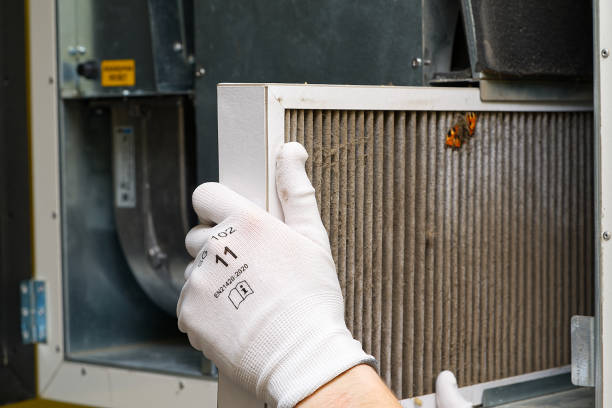 Best Ventilation Cleaning Services  in New Haven, IN