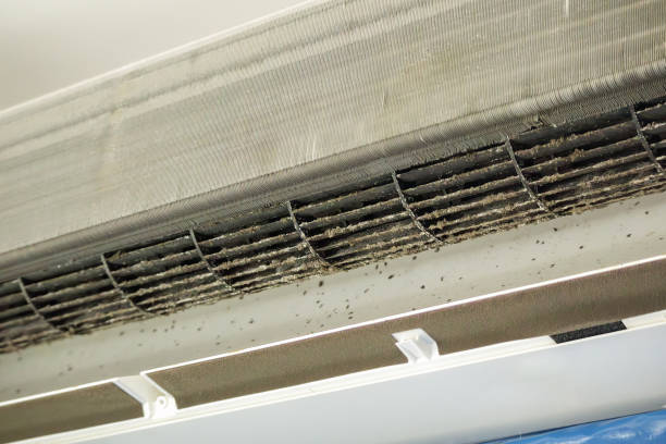 Best Best Air Duct Cleaning Company  in New Haven, IN
