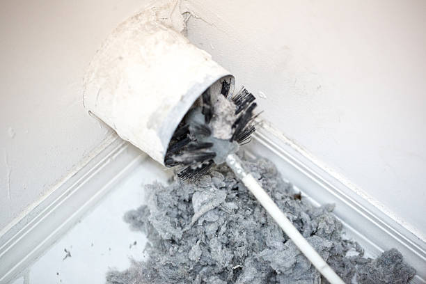Air Duct Mold Removal in IN